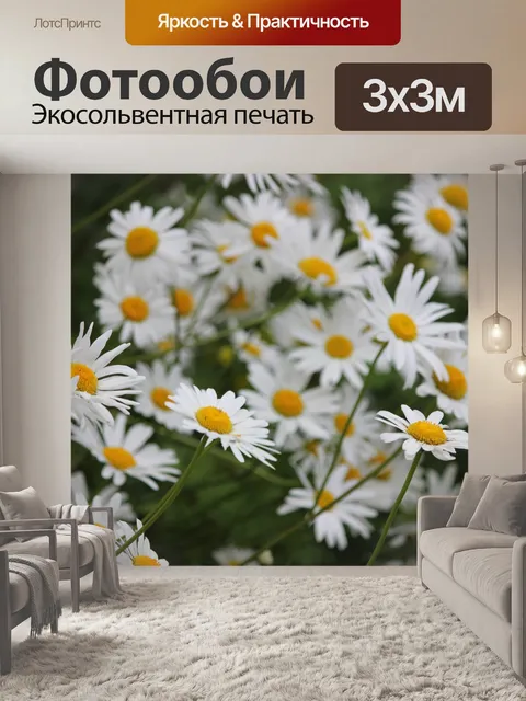 Фотообои Букет Ромашки
