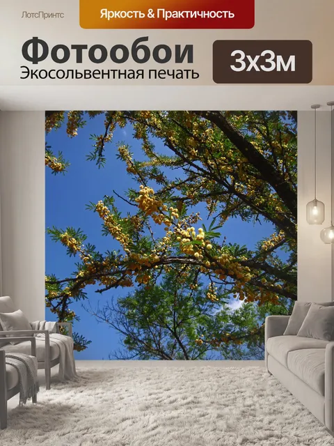 Фотообои цветы на сладком шипе