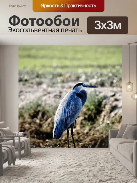 Фотообои Голубая цапля