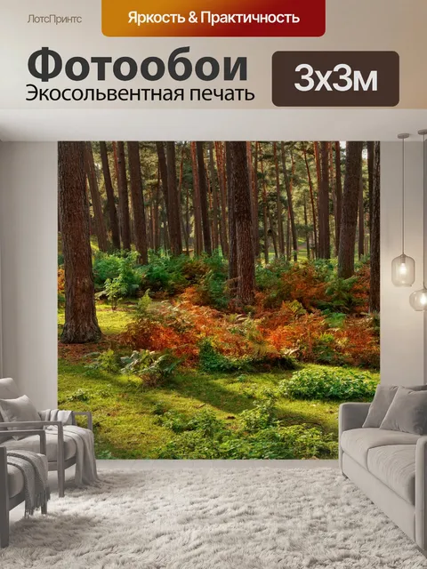 Фотообои Лесные деревья осенний папоротник