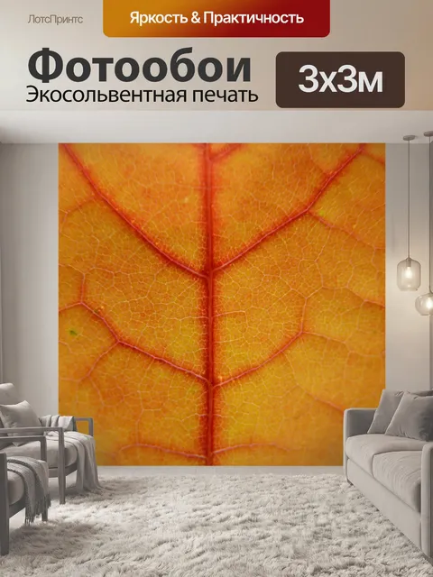 Фотообои Лист