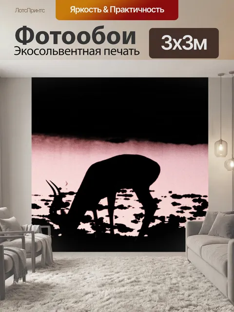 Фотообои силуэт антилопы импалы