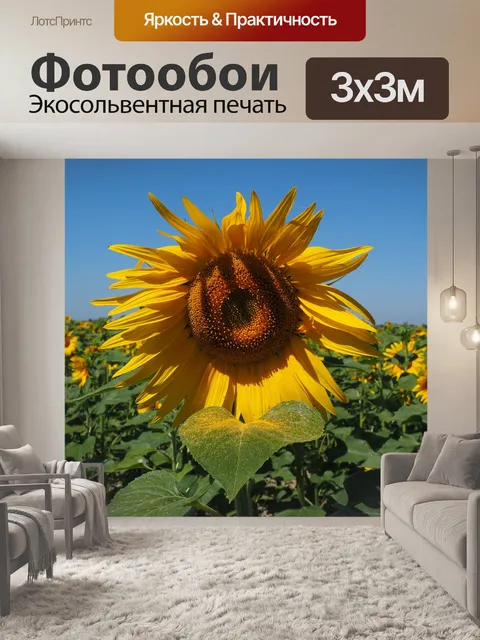 Фотообои Подсолнечное поле