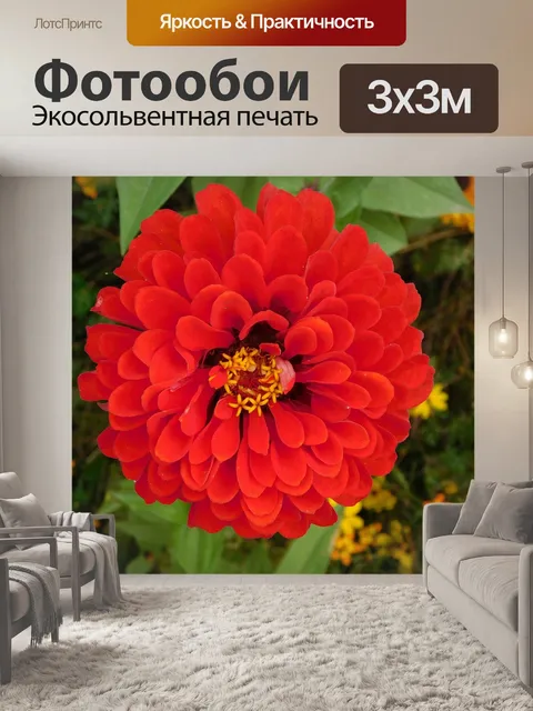Фотообои Красный цветок