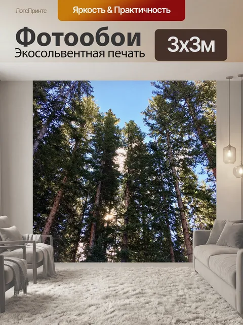 Фотообои Вечнозеленый фон