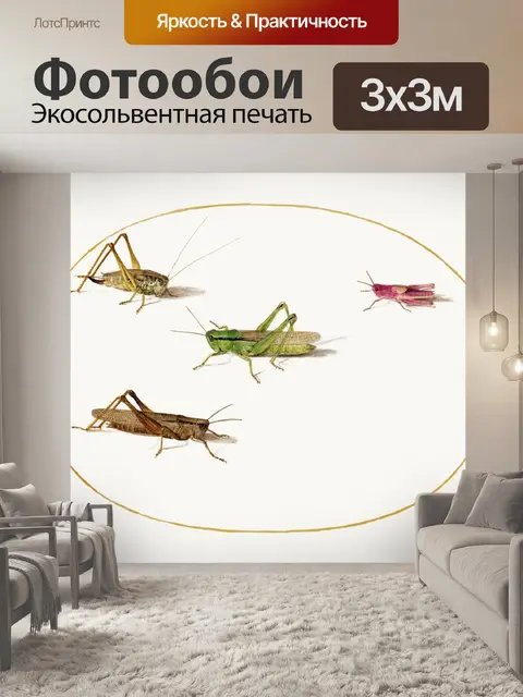 Фотообои Кузнечик винтаж искусство старый