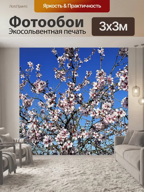 Фотообои Цветы миндаля