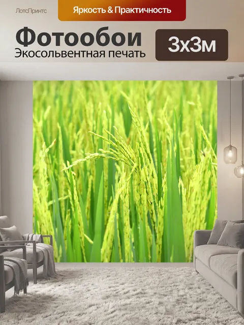 Фотообои Убуд
