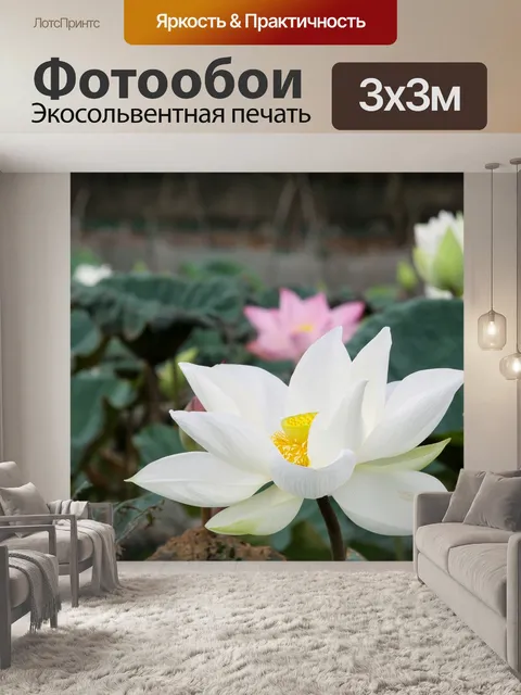 Фотообои Белый лотос