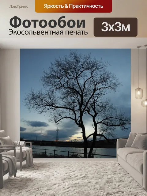 Фотообои Деревья зимой