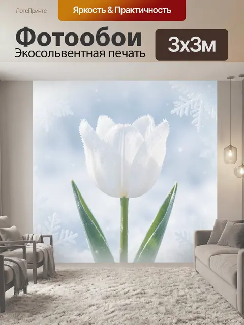 Фотообои Белый тюльпан в морозе