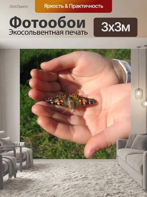 Фотообои Бабочка