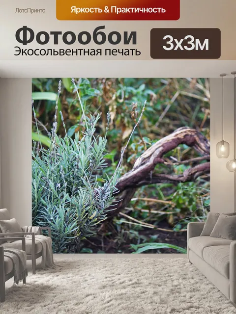 Фотообои куст лаванды с древесным стеблем