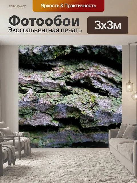 Фотообои японский изюм коры дерева