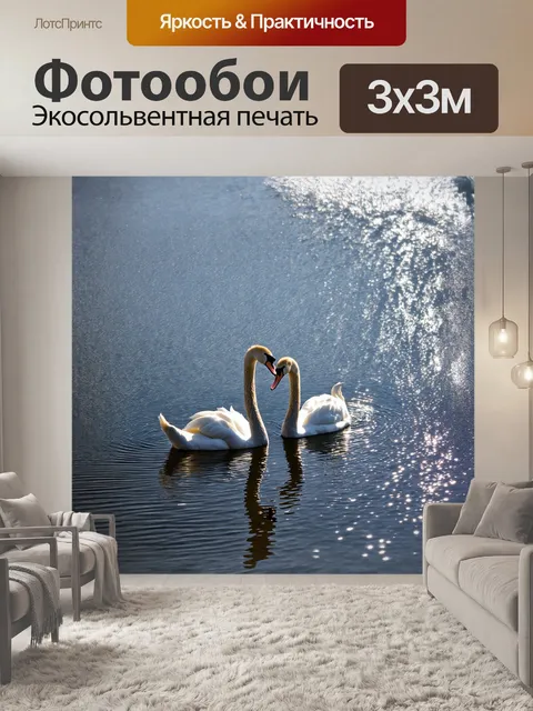 Фотообои на спокойном озере два лебедя изящно плавают, их длинные шеи напоминают изящные линии на тканях