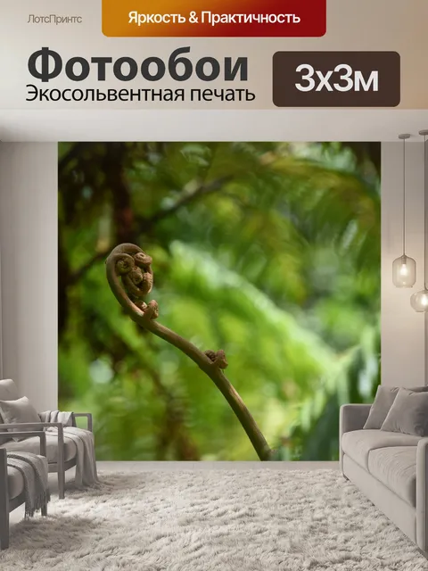 Фотообои Папоротник керл