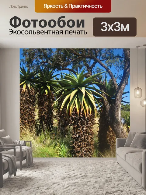 Фотообои близкий вид на горы алоэ