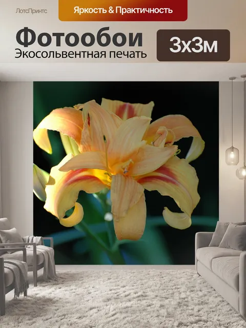 Фотообои Лили