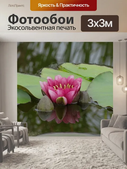 Фотообои Водяные лилии