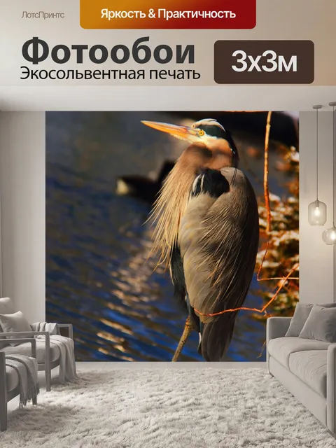 Фотообои Птица