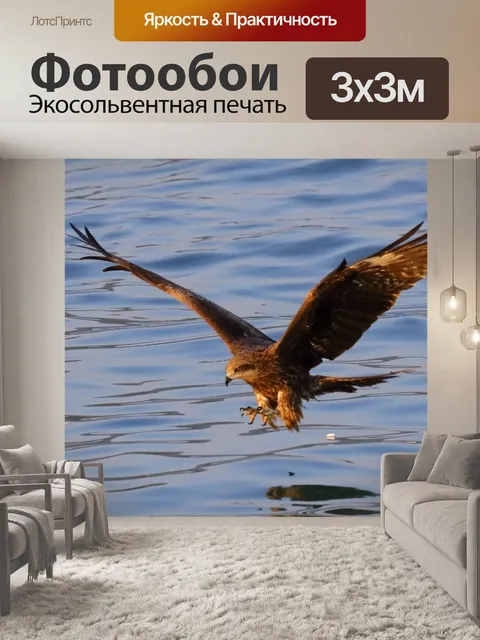 Фотообои Птицы