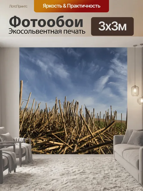 Фотообои Поле с Сенной
