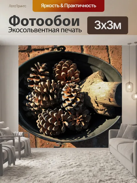 Фотообои сосновые шишки в ведро