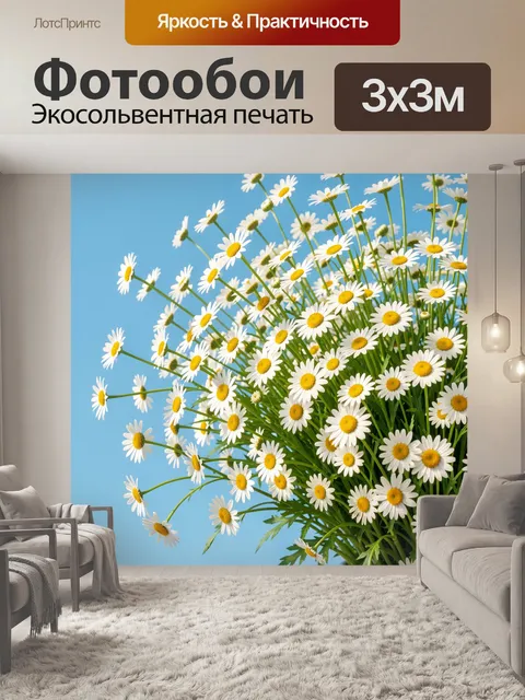 Фотообои Полевые ромашки на голубом фоне