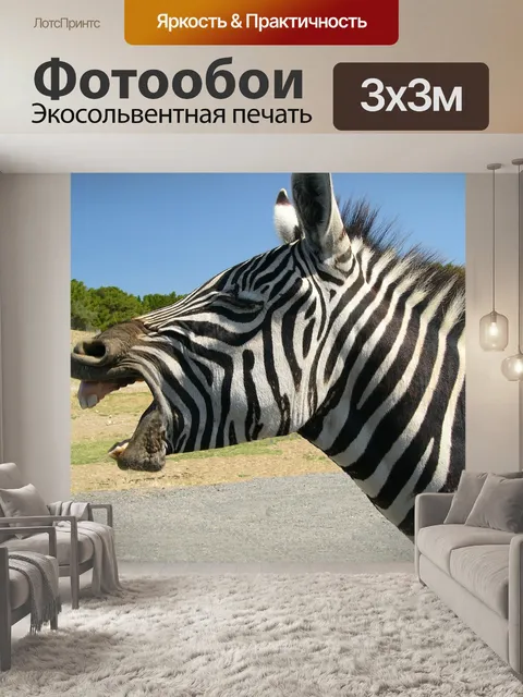 Фотообои Зебра