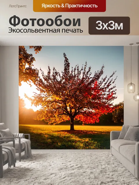 Фотообои яблоня в осенний вечер