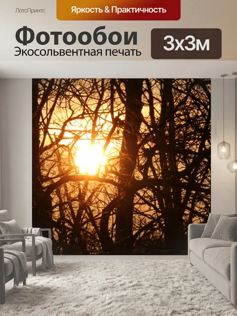 Фотообои Солнце