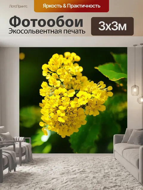 Фотообои вдохновение природы: макроизображение ярко-желтых цветов мимозы на фоне размытых зеленых листьев