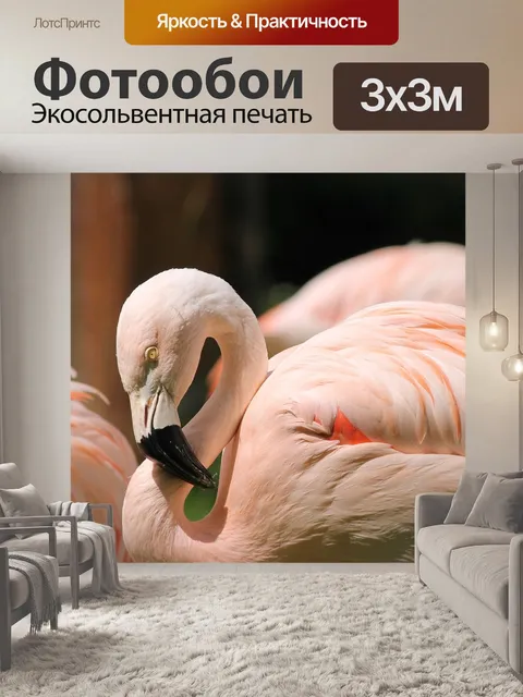 Фотообои Фламинго