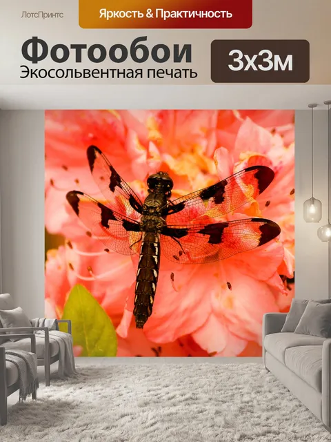 Фотообои Коричневая стрекоза