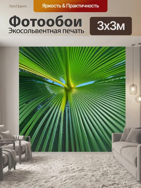 Фотообои ветки кокосовых пальм