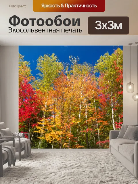 Фотообои Деревья осенью