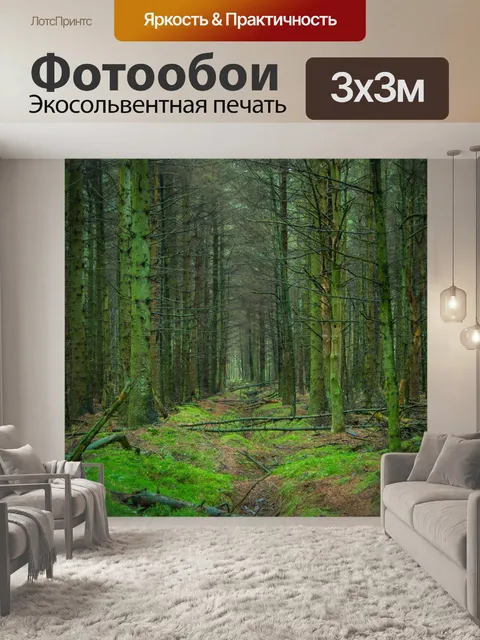 Фотообои лес