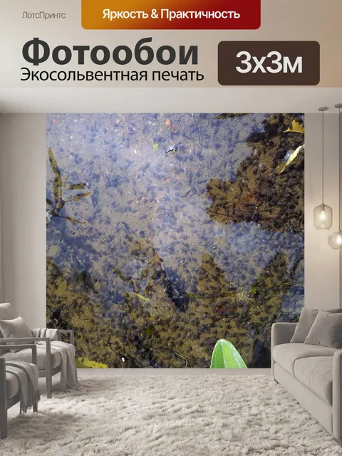 Фотообои Головастик из пруда
