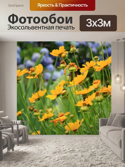 Фотообои желтые ромашки в саду