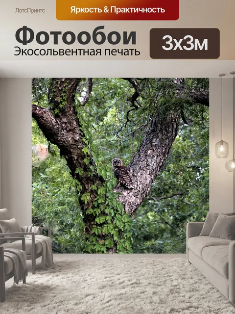 Фотообои Запретная сова на дереве