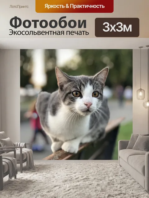 Фотообои Кот