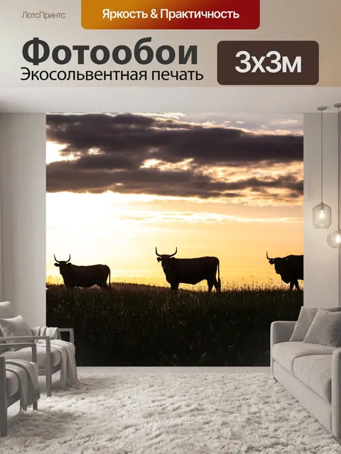 Фотообои Бык