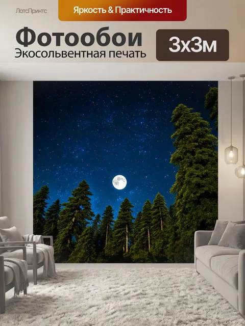 Фотообои лес с ночным небом, заставленным многочисленными звездами и полнолунием