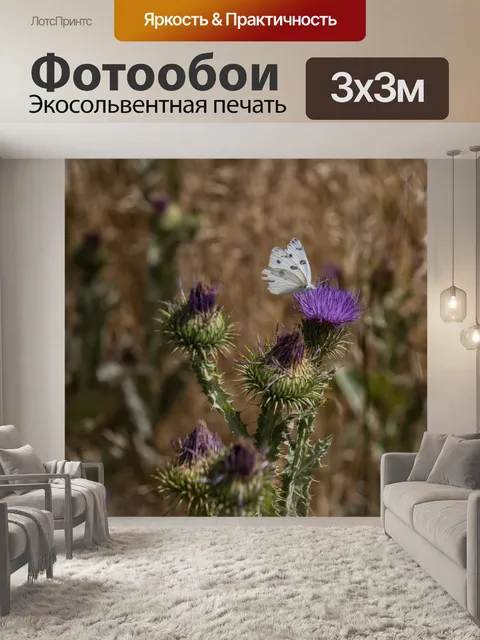 Фотообои Белокочанная капуста