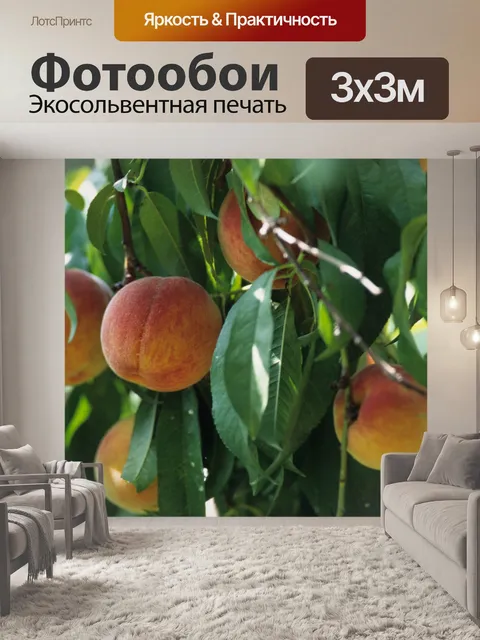 Фотообои Спелые персики