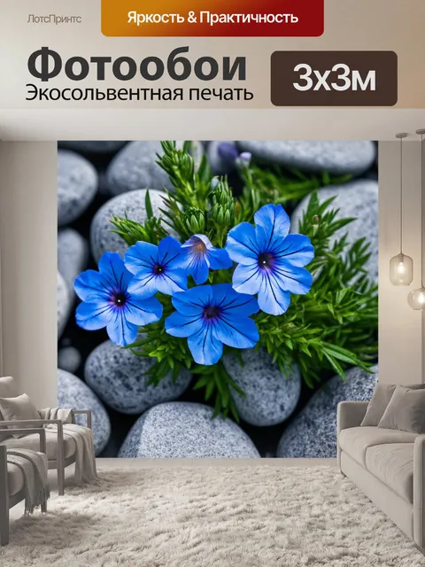 Фотообои где редкие синие цветы распускаются среди серых камней