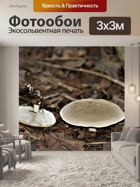 Фотообои Светящиеся белые грибы в листьях