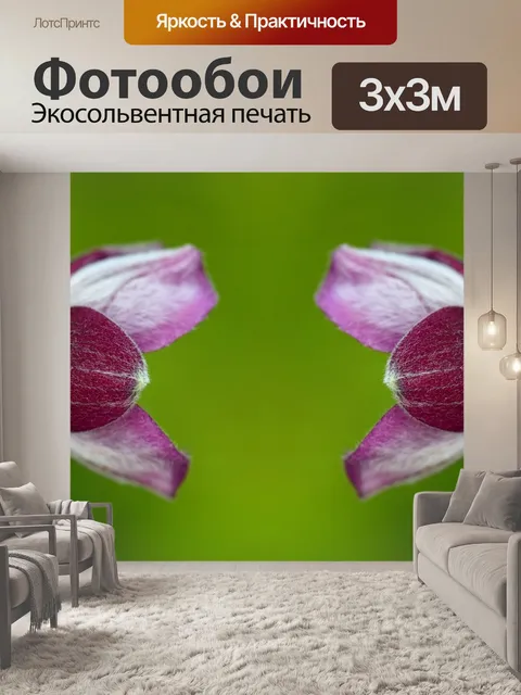 Фотообои Анемон