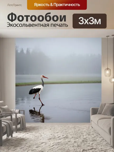 Фотообои аист, прогуливающийся по берегу озера в утреннем тумане