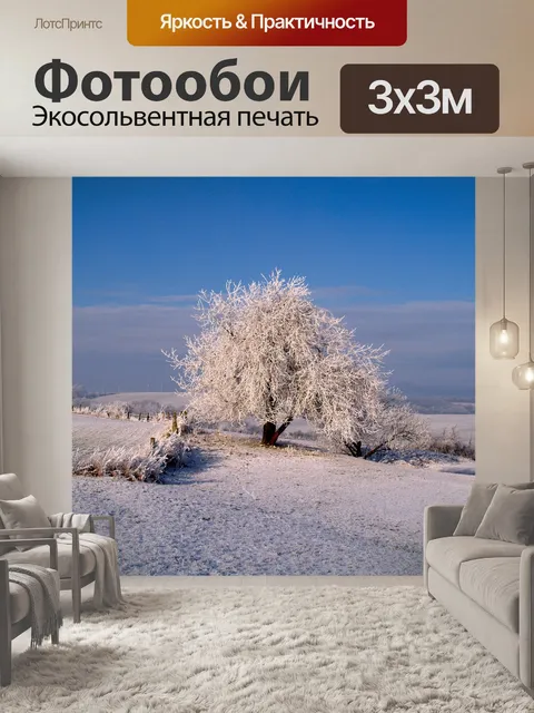 Фотообои Иней